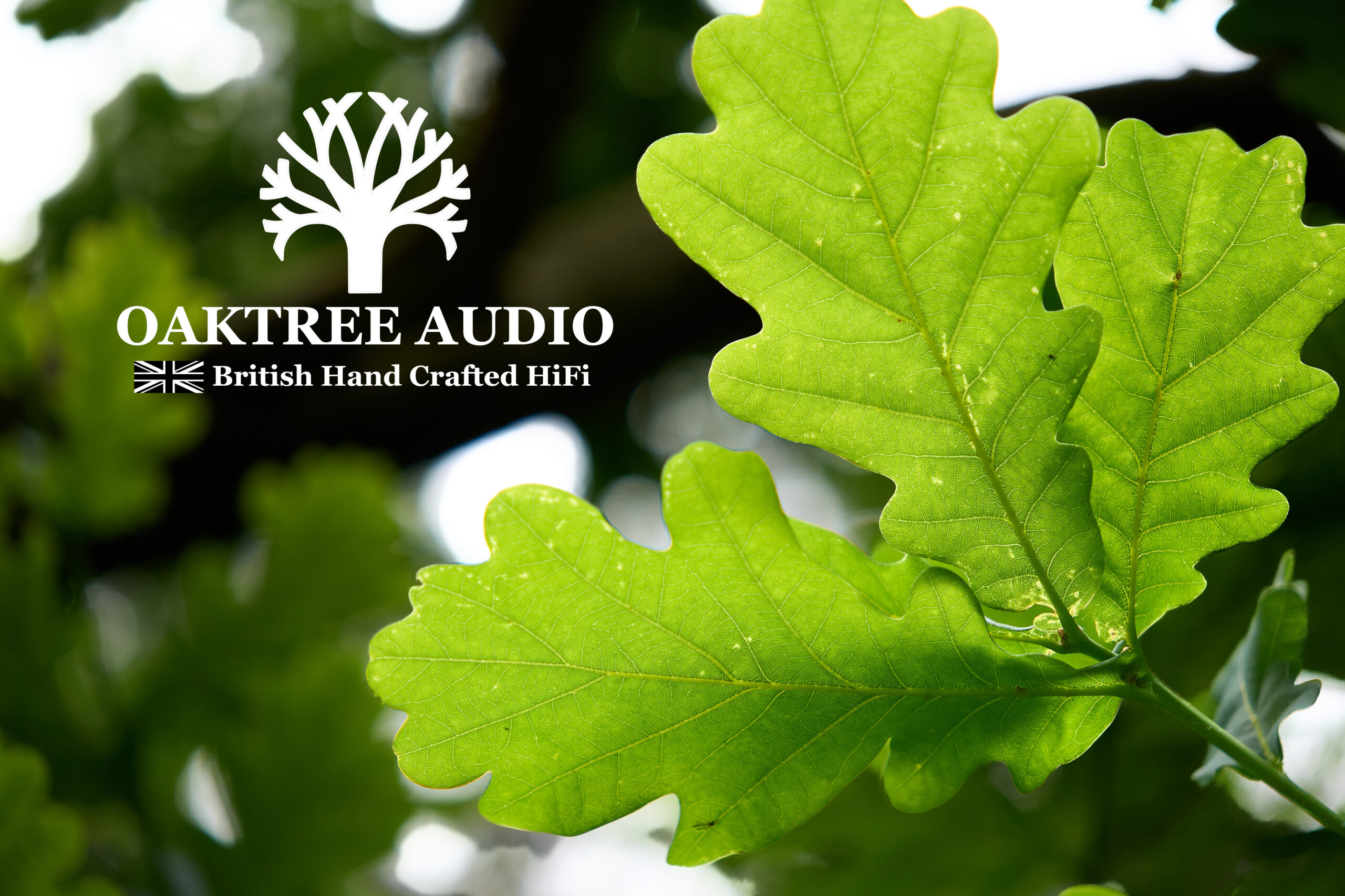 OaktreeAudio holding page image